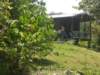 Photo Number 5