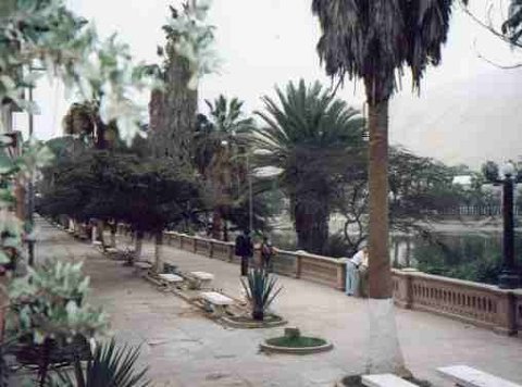 This oasis was incredible... exactly what you picture when you think of desert oasis!