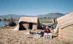 The reed homes are small, about 8 by 12 inside.(Click to enlarge)