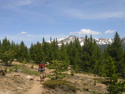 BackOnTheTrail