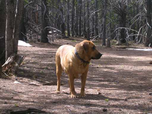 Ellie2